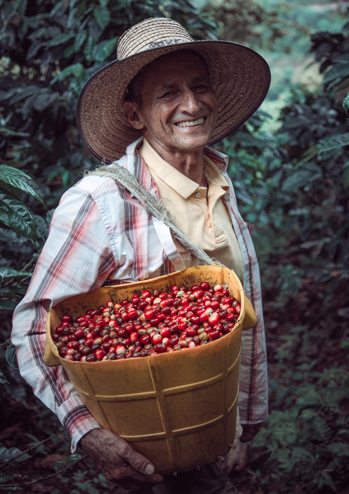 South American Coffees